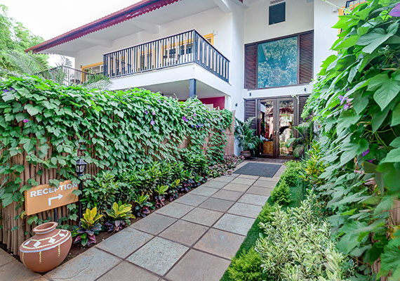 Courtyard Room